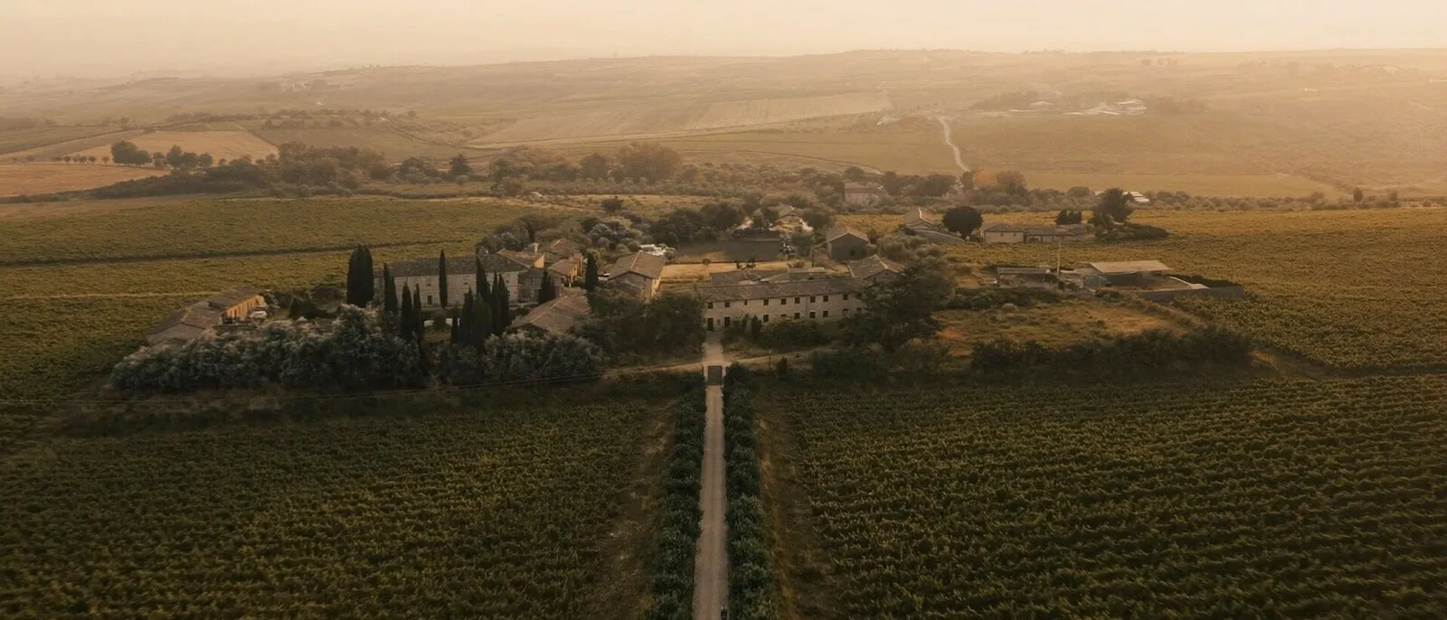 Rolling Tuscan hills with a cypress road at dawn