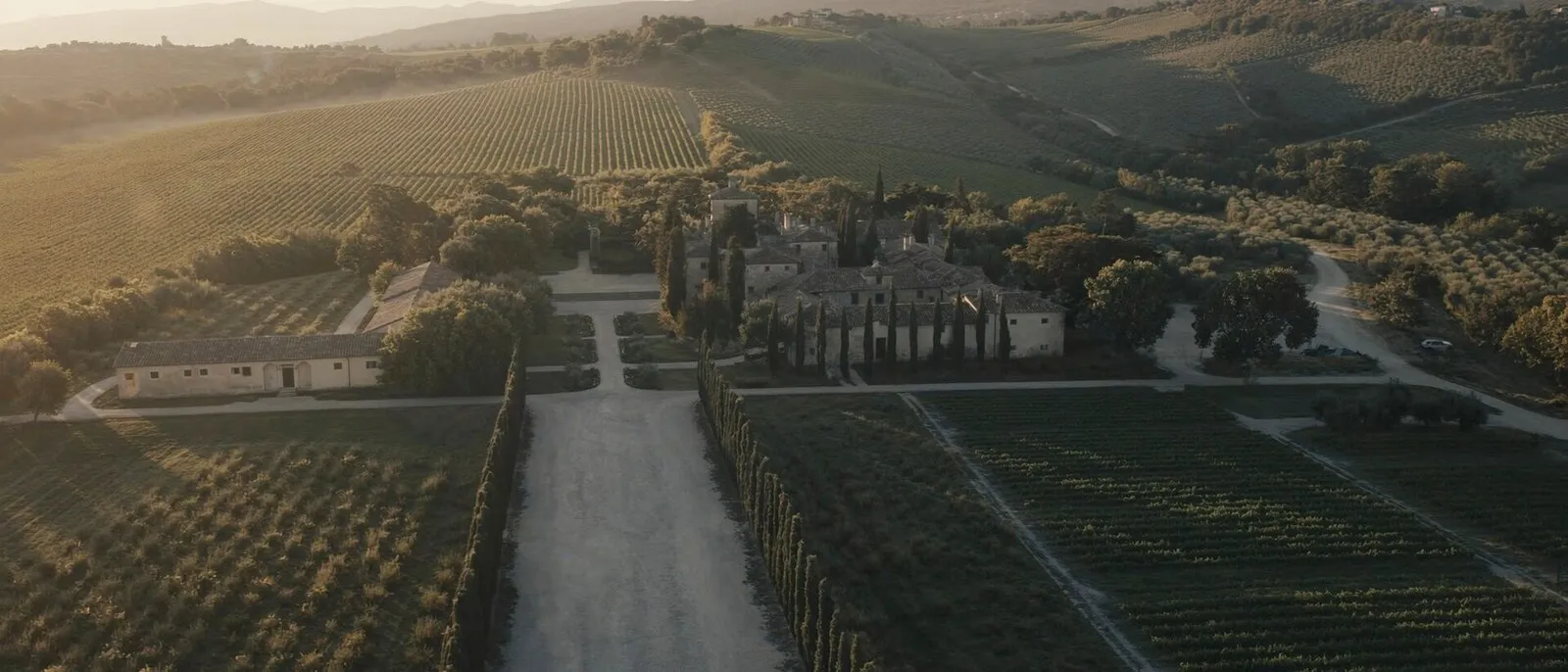 Buying a Vineyard in Italy: Legal Framework, Pre-emption Rights, and Tax Structure